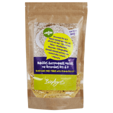 1_ba_diatrofikimagiab12d