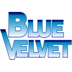 bluevelvet_logo