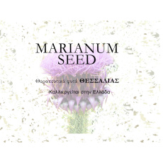 marianumseed_logo
