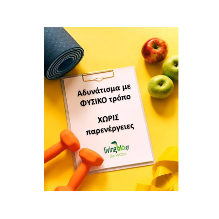 1_b1