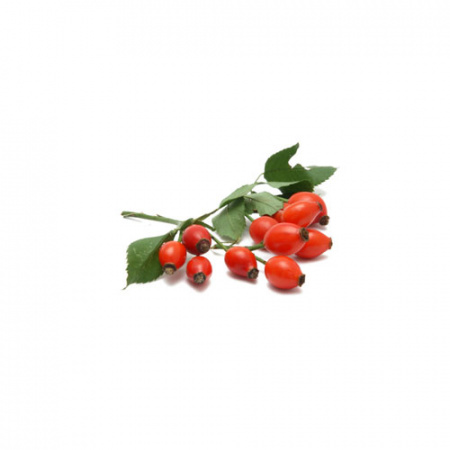 Βιολογική Άγρια Τριανταφυλλιά (Κυνόροδο) Καρποί "Μπόρου" 65γρ